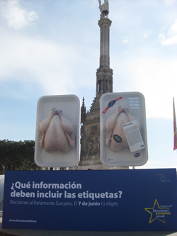 pollo1.jpg